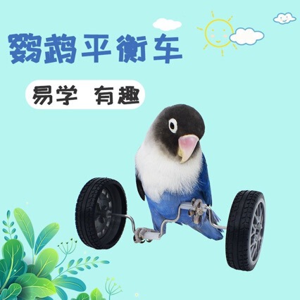 Parrot bird toy balance car, small and medium-sized bird supplies, roller skateboarding skill training props, cockatiel bird toy Parrot bird toy balance car, small and medium-sized bird supplies, roller skateboarding skill training props, cockatiel bird toy