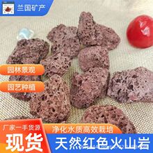 红色黑色火山岩滤料污水处理河道火山石颗粒园艺种植用火山岩颗粒
