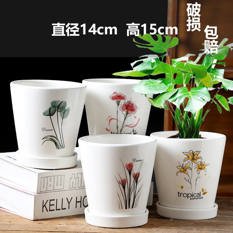 4つの高揚期の開花組み合わせ / ビッグセラミック
