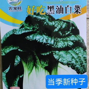 �����˸ߠI�B���Ͱײ˷N���N�̰ײ˞���С�ײ��ﶬ�����ļ����N