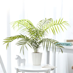 Artificial Green Plants, Persian Grass, Iron Tree Leaves, Ferns, Sunflower Leaves, Fake Trees, Garden Landscaping, Home Soft Furnishings, Fake Flowers and Plants