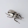 Grab the black beetle 18*8*6cm