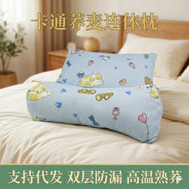 卡通荞麦壳枕成人睡眠枕家用枕头护颈椎三角枕可拆卸枕芯批发定制