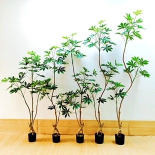 ֲ����~����������҃����b���ֲ��[��������