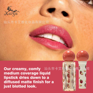 Cross-Border Makeup Customization Oem Matte Matte Lip Gloss Velvet Liquid Lipstick Lip Glaze Multi-Color Customization
