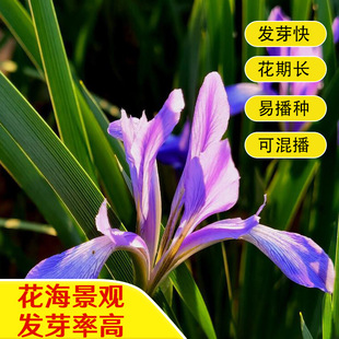 �R�m���N���R�A�ļ��N���Ѷ������޸����ݷN�ӵر��������^����