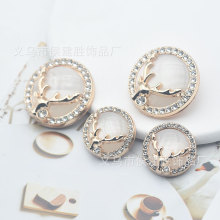 ¸߶¹bټ~ëش_bŮСLrп