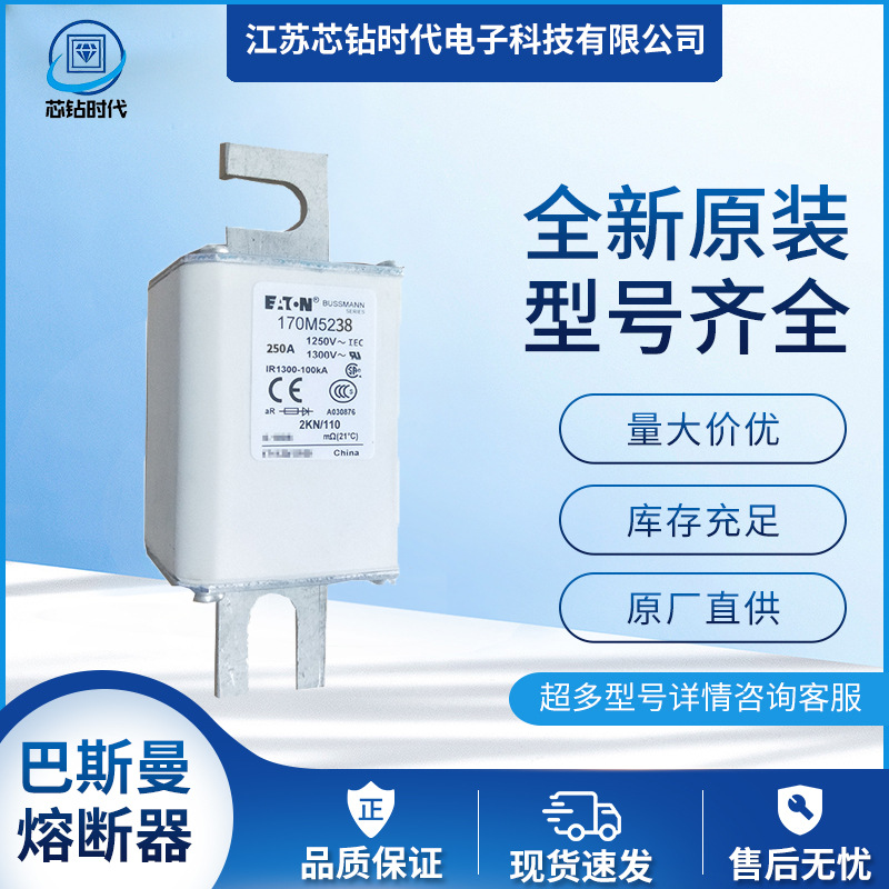 170M5247 170M5248 巴斯曼BUSSMANN熔断器保险丝