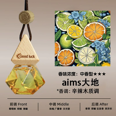 Car Perfume Aromatherapy – Fragrance Fresh Light Scent Set - earth