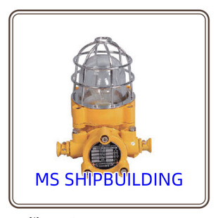 CFD4 Incandescent EXPLOSION-PROOF Lamp EXPL Osion-PROOF PORTABLE LIGHT