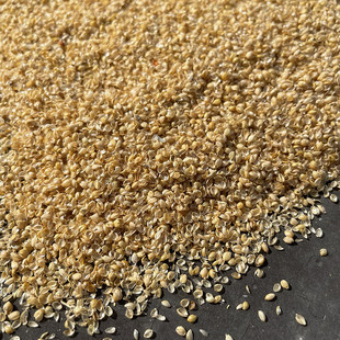 С�׿� ���ԭ���u���Z�i������ӹȿ� С�ך� ��о��� ᄾ�����