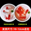 Fine red national lion + lucky head (1 each) 2 pieces in total + fish food 10-12cm