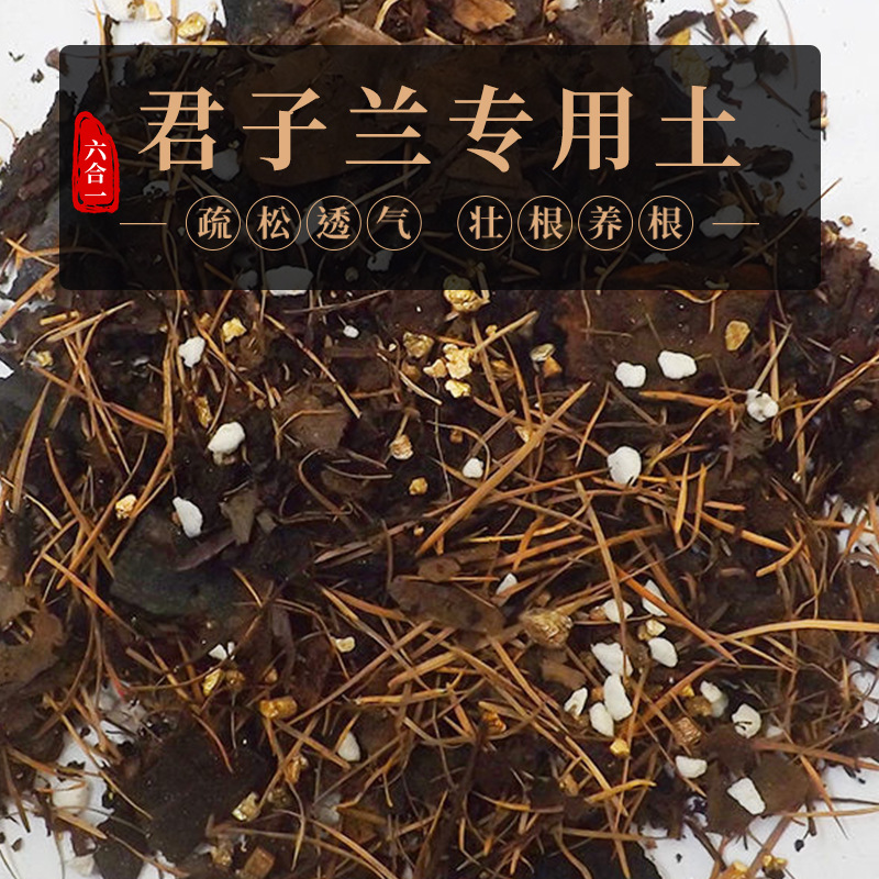 O1CN01itO3PQ2EE9UsXAtLU_!!2218234948712-