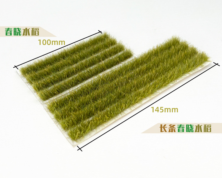 da365 春晓水稻 750x600.jpg