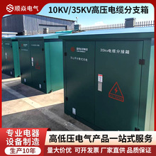 10KV高压电缆分支箱DFW户外欧式一进三出35KV铜排分线对接T接线箱