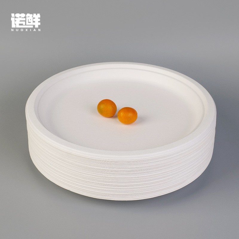 Disposable paper plate thickened white large paper plate barbecue cake plate kindergarten handmade DIY material painting 12-inch