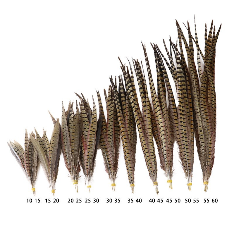 Fábrica al por mayor pelo de faisán 10-90cm cola de faisán pluma de bricolaje danza plumas de faisán cola de gallina palo de gato divertido