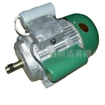 厂家供应双值电容异步电机双电容铁壳卧式立式单相电机