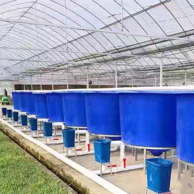 观赏鱼养殖槽 水产塑料养鱼桶 锥底养鱼池一体成型