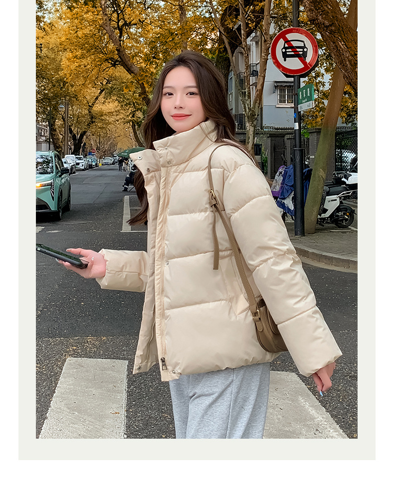 Women's Down Coat Winter Cotton Jacket Standing Collar Loose Fit_voghion.com