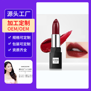 Oem Customized Oem Processing Charming Lipstick Moisturizing and Not Easy to Fade Moisturizing Lips Lipstick Cosmetics Batch
