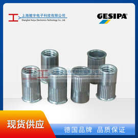 Gesipa1433791 1433793 1433796 1450393PolyGrip  铆螺母