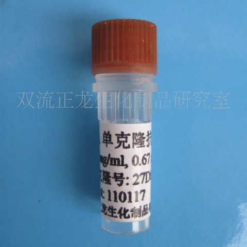 CEA����¡����