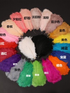 �r�Bë25-30cm�W�t������ë���������������������c��ë����