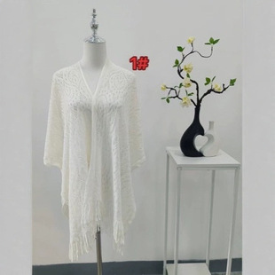 2025�¿����K�U�հٴ�ᘿ��_������������ˇ����L����ʽ�L������