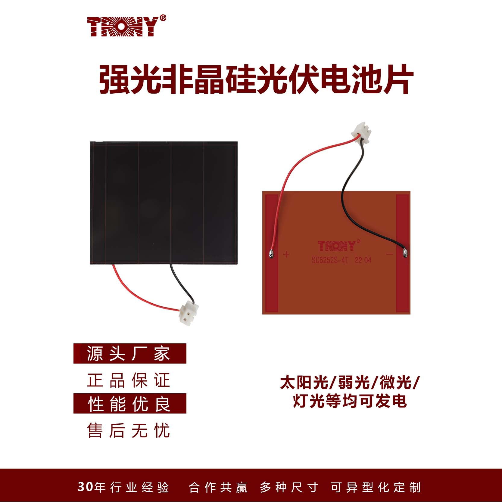 TRONY创益户外节日氛围灯强光非晶硅太阳能草坪灯薄膜电池片6252