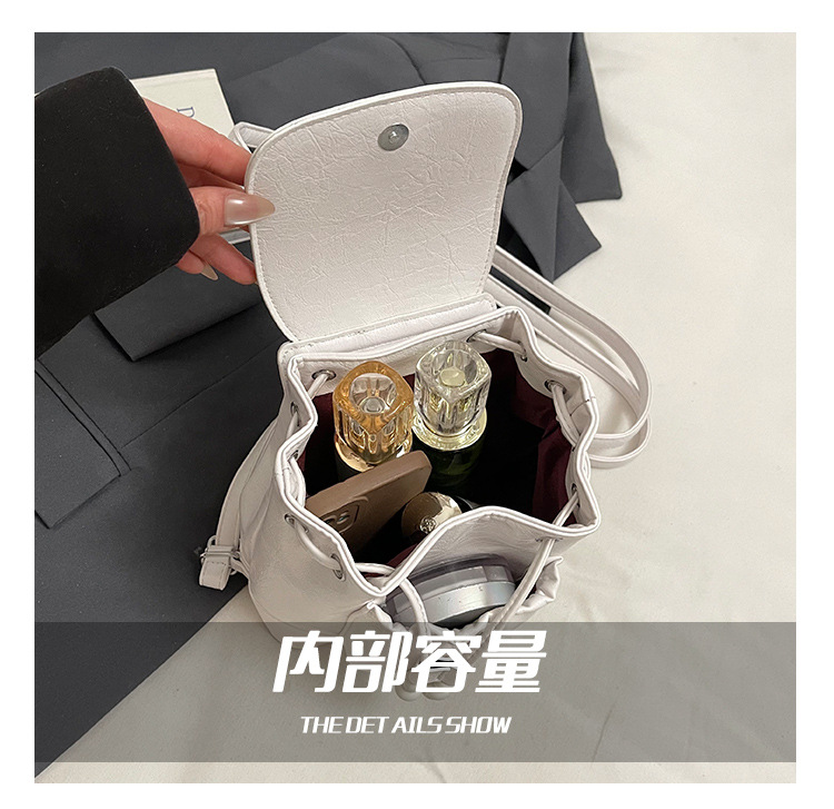 Simple, versatile and niche design women's backpack 2025 new trendy casual small backpack, fashionable travel small schoolbag undefined