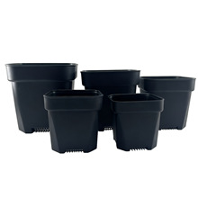 С˻Ӻ͸躆sɫֲ5cm-16cm