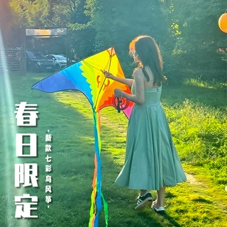 彩色风筝大人专用高档2026新款风筝儿童微风易飞高颜值网红拍照道