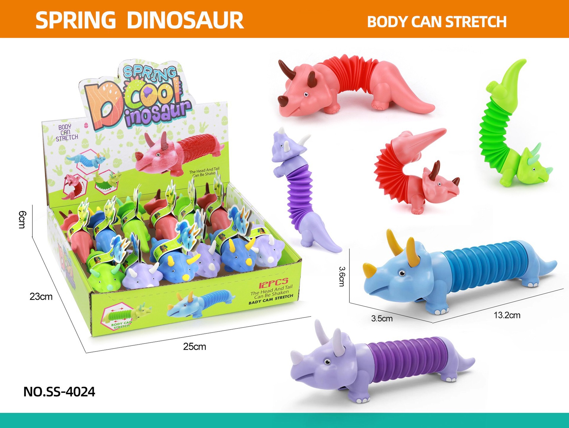 恐龙展示盒12个装