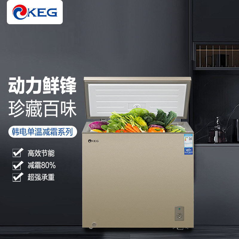Household Energy-Saving Refrigerator Freezer Small Freezer Freezer Micro-Frost Horizontal Freezer Energy-Saving First-Class Small Freezing and Preservation