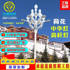 道路照明灯;景观灯;太阳能灯