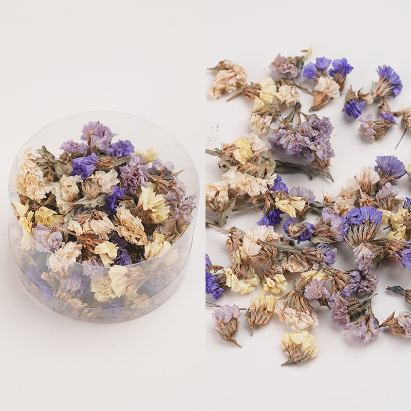 天然アロマキャンドル乾燥果花材クリスマス花輪diy乾燥花材植物標本装飾画松果|undefined