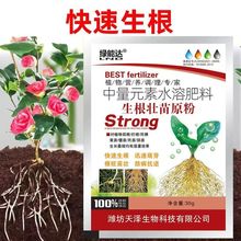 绿能达生根粉移栽生根扦插快速正品植物通用发根剂强力花卉壮苗剂