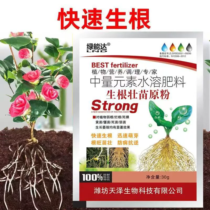 Порошок для укоренения зеленой энергии для пересадки и укоренения черенков, быстрый универсальный укоренительный агент для настоящих растений, мощное средство для укрепления цветочных рассады.