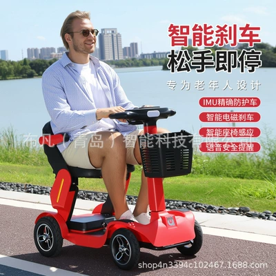 Use, Four-Wheel Vehicle, Three-Wheel Vehicle, Electric — Qatlanan elektrik velosipedlər
