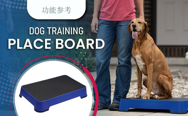 366999577_311044881286751_7870