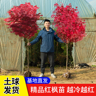 һ�����l�t�������ļ��t�ձ��t���t�輧�Ї��t��ͥԺ�e����·�G��