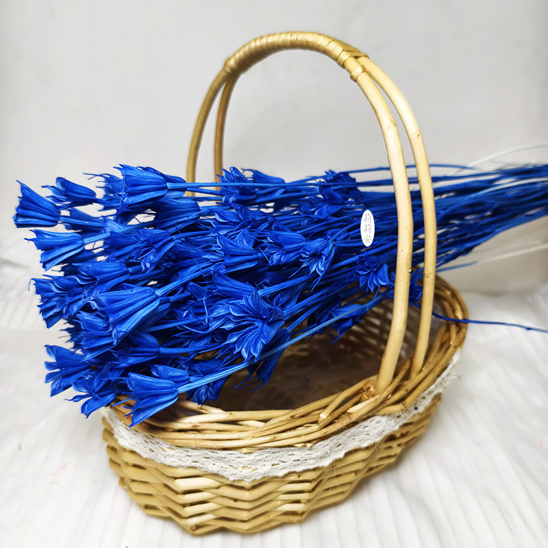 로얄블루 (50g/묶음)