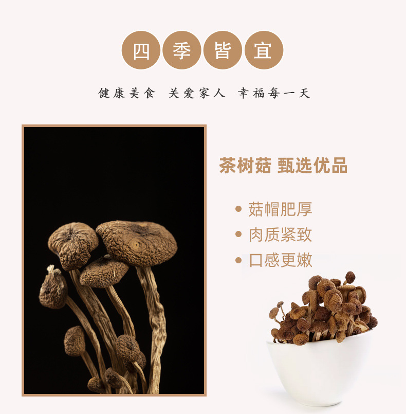 2023不开伞茶树菇_02