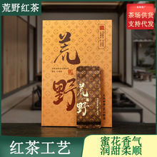 2025���²����С�N�t��ɢ�bҰ���ɽ���~�S�����l��ɽҰ��