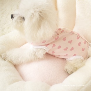 Dog clothes spring and autumn cotton small teacup dog full bag belly weaning home base bag belly to prevent cold