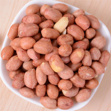 �����㻨���׮������r�����b���}400��/�����ζ���ֻ����¾Ƽ��P