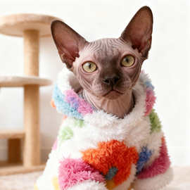 宠物德文衣服小猫跨境可爱带帽秋冬保暖加绒猫咪服装斯芬克斯