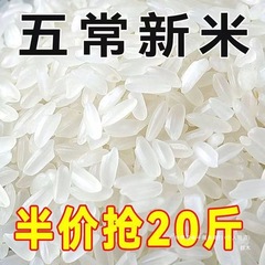 五常稻香米2024年新米五常大米10斤20斤特产东北大米好吃不贵群木