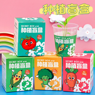 Plant Planting Blind Box Potted Pupils Award Gift Prizes Kindergarten Children Graduate Day Gift Class